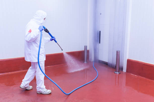 Best Paint Preparation  in Bear Creek Ranch, TX